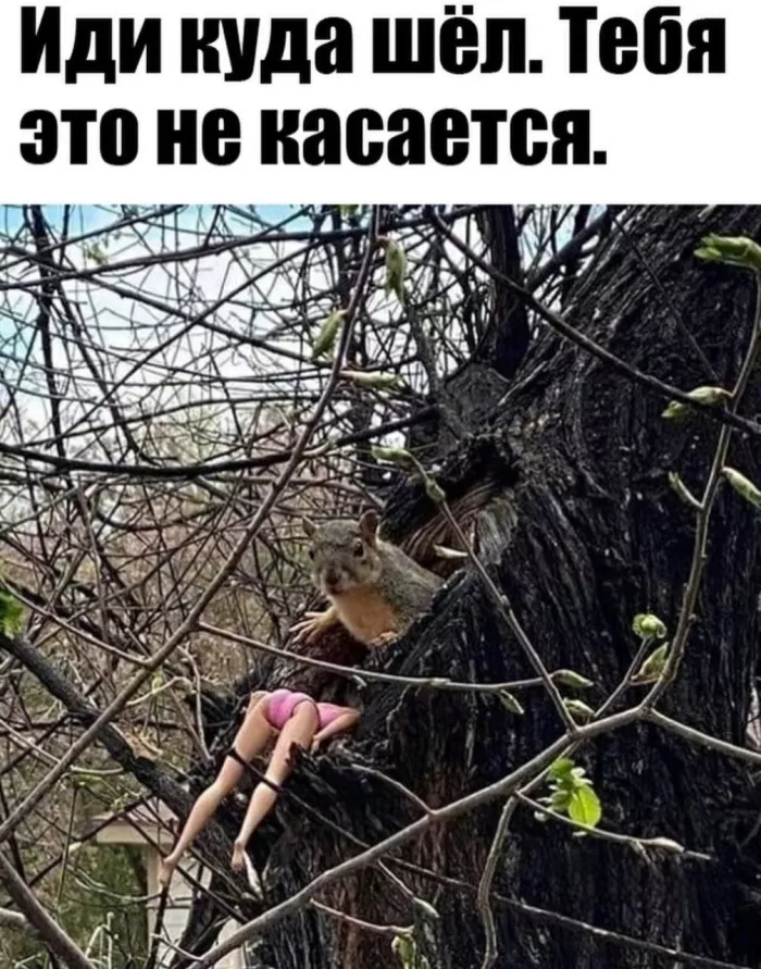 картинка 3b6cd05f7d 000000
