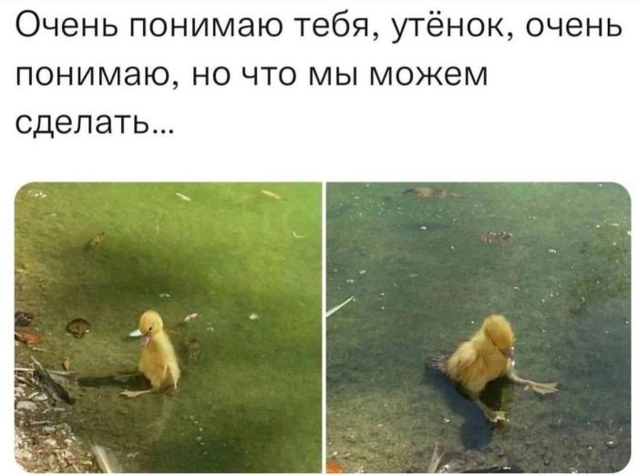 картинка 3dc71a0a57 20875362