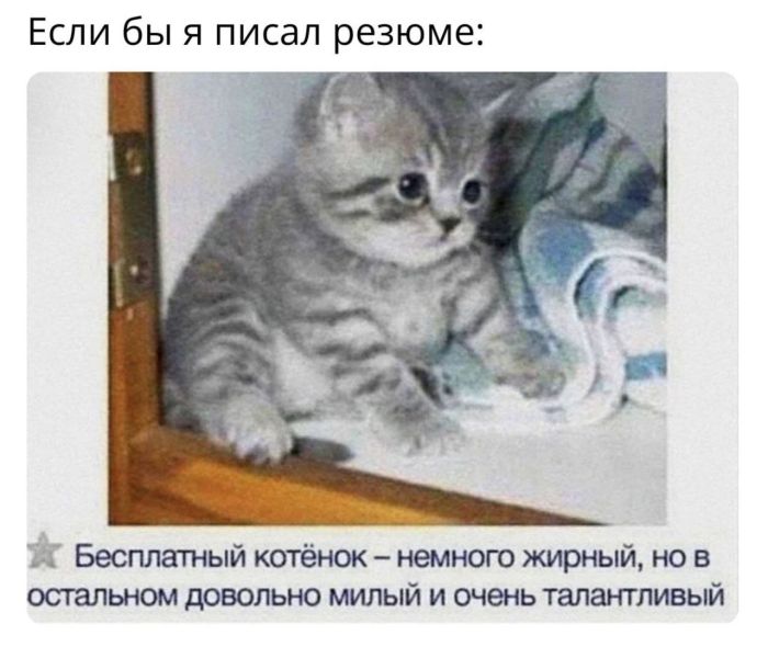 картинка 413783d327 1774847930