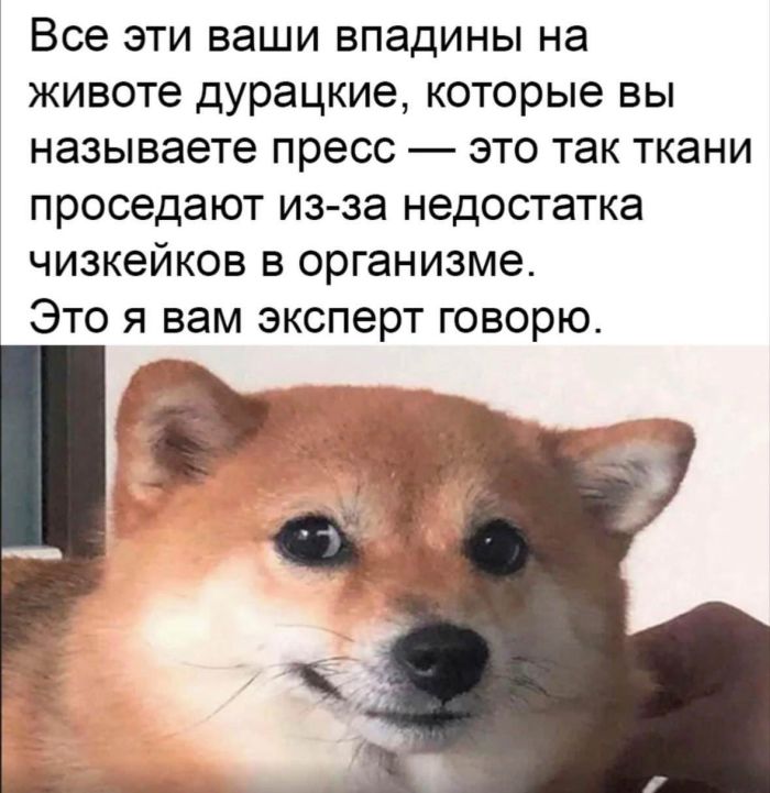 картинка 417c1db5ed smotrite luchshie memy i kommentarii kotorye zarjadjat pozitivom 11