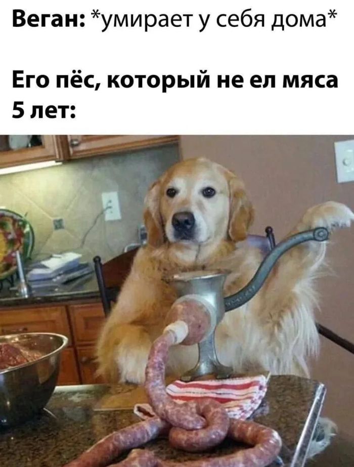 Готовьтесь смеяться до слез! 🤣 Новый сборник мемов и комментариев уже здесь! самые, комментарии, просто, собрали, настроения, которые, сетей, социальных, смешные, любой, сборник, поднятие, этого, просмотра, после, уверены, настроениеРазнообразие, Здесь, бытовых, найдется