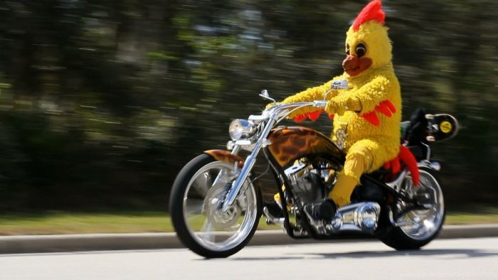 картинка 42663c3952 nakonec to pjatnica grandioznyj sbornik prikolov 7