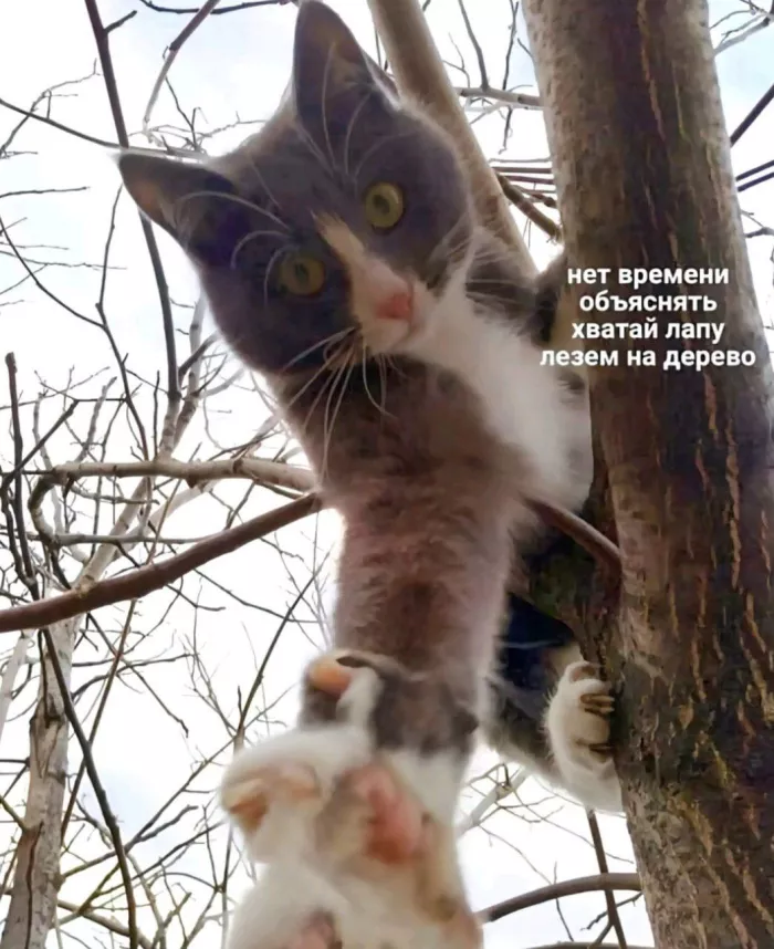 картинка 483833c7f8 00000000000000