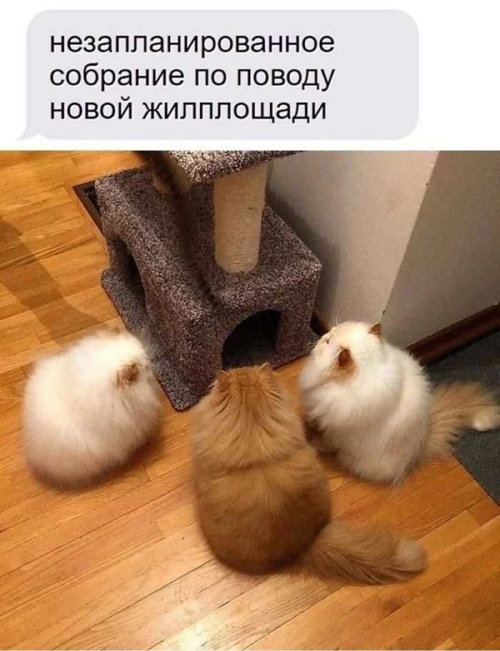 картинка 490ae07068 chernyj jumor v kommentarijah iz socialnyh setej gorjachaja podborka dlja cenitelej ostrogo 15