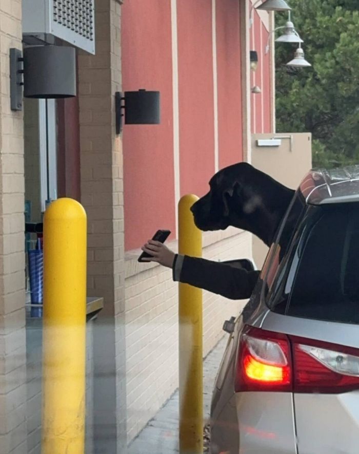 картинка 49df4749b0 novyj sbornik pozitiva dlja idealnogo zavershenija rabochej nedeli 9