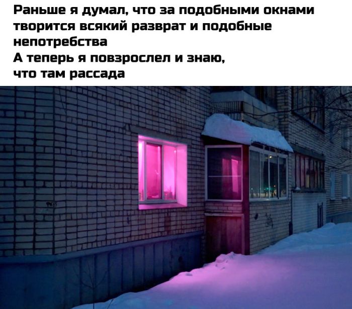 картинка 4abc775bb0 lovite pozitivchik podborka svezhih shutok i memov dlja vashej malenkoj pjatnicy 13