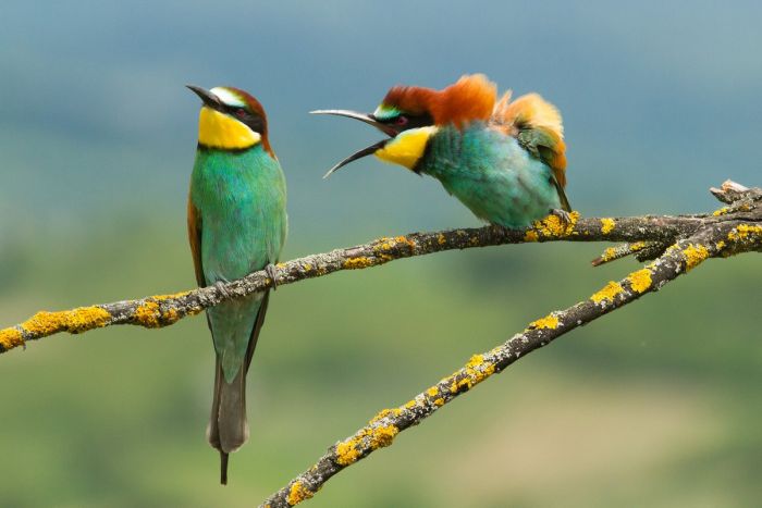 картинка 4b69e46762 pjatnica ulybaemsja i mashem 3