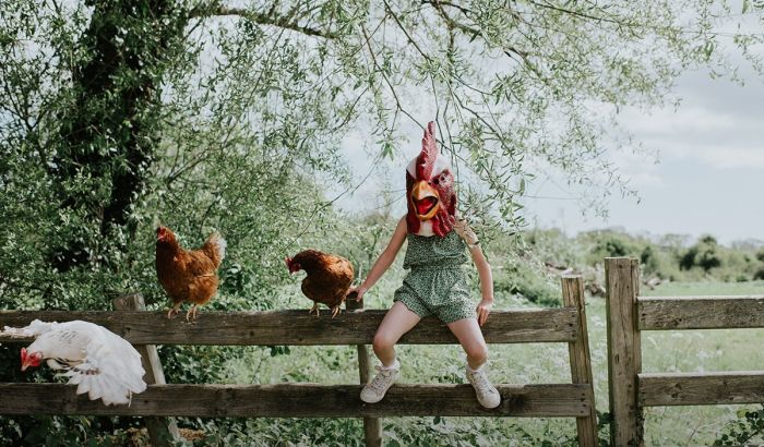 картинка 4efc85a979 vstrechajte vasha porcija pozitiva uzhe zdes 10