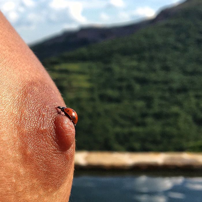 картинка 5136e1ce3d marisa papen na gorjachih foto 12