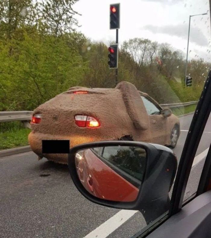 Новый сборник приколов к маленькой пятнице! 🤩 Неделя, горячие, близко, Выходные, недели, середины, приколы, шутки, самые, разгаре, Ловите, юмора, свежего, порцией, будни, разбавить, значит, держитесь