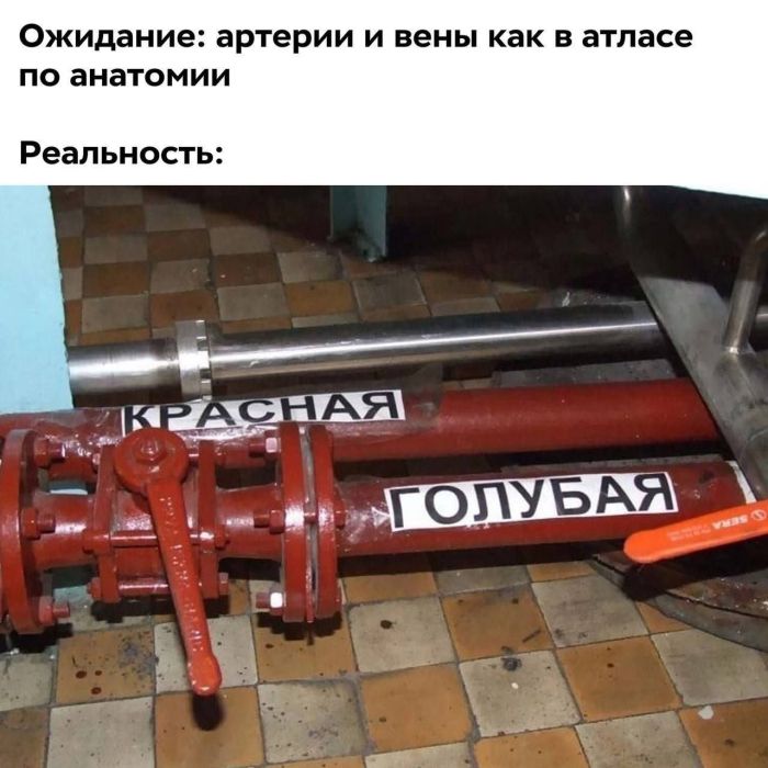 картинка 518a5665f2 pjatnica ulybaemsja i mashem 7