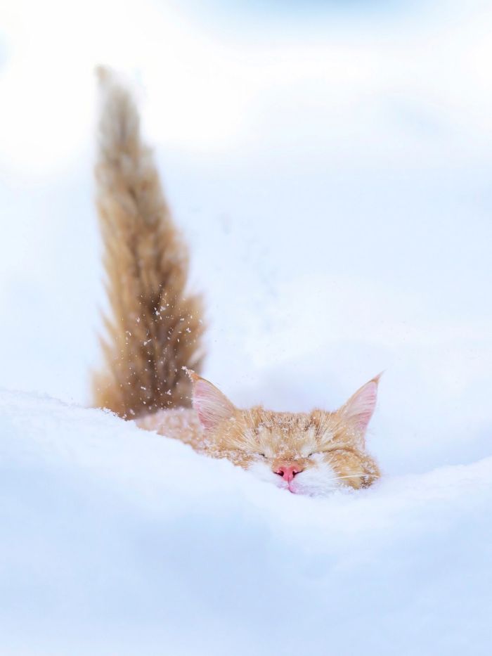 картинка 5389ccc90b lovite pozitivchik podborka svezhih shutok i memov dlja vashej malenkoj pjatnicy 6