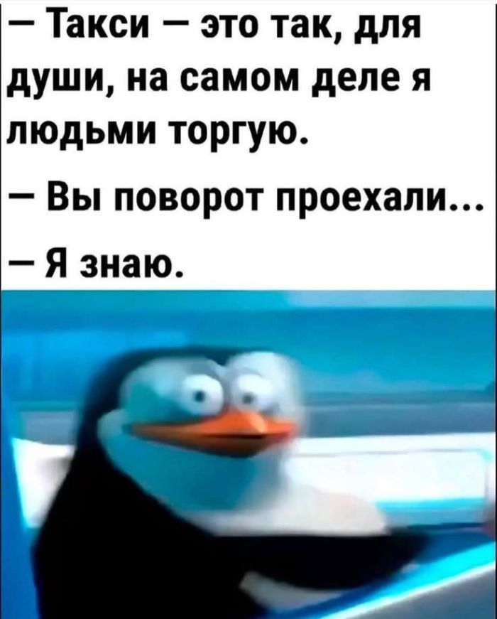 картинка 599b898599 vash lichnyj sbornik pozitiva memy kartinki i kommentarii 4