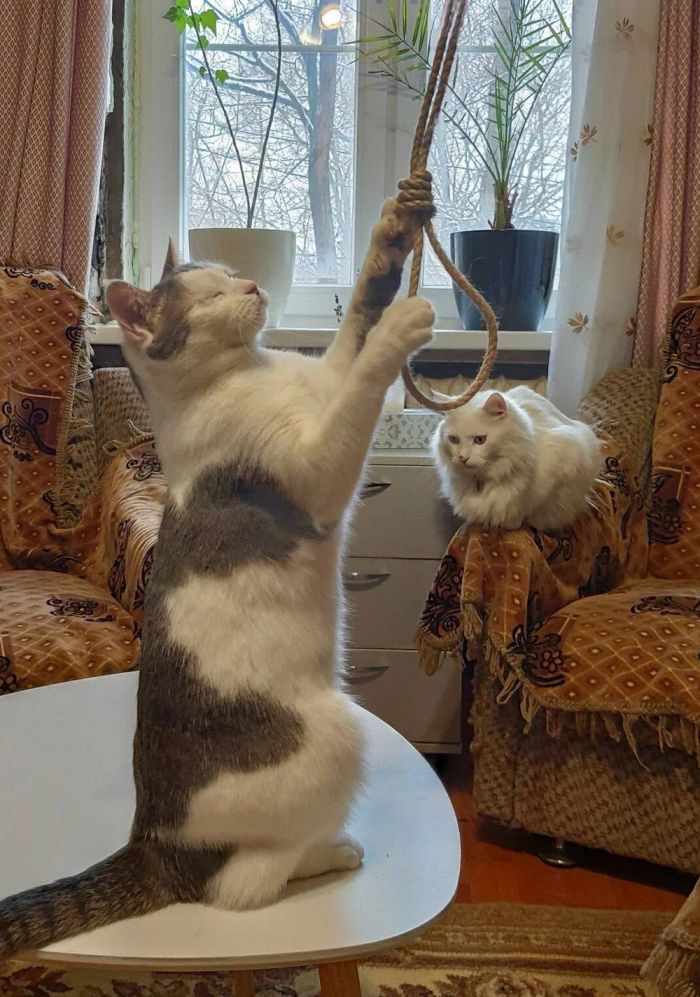 картинка 5c087684c8 pjatnica ulybaemsja i mashem 13