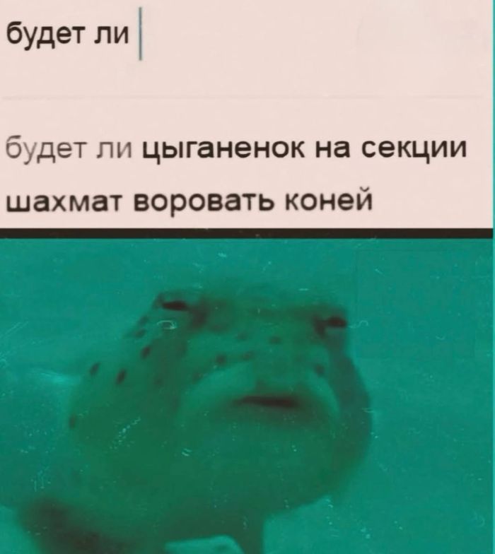 картинка 5d2199e971 utro nachinaetsja ne s kofe a s porcii otbornogo jumora 3