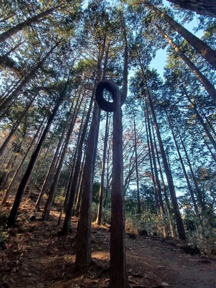 картинка 5d554bf1b4 bolshoj sbornik svezhajshih prikolov na malenkuju pjatnicu 14