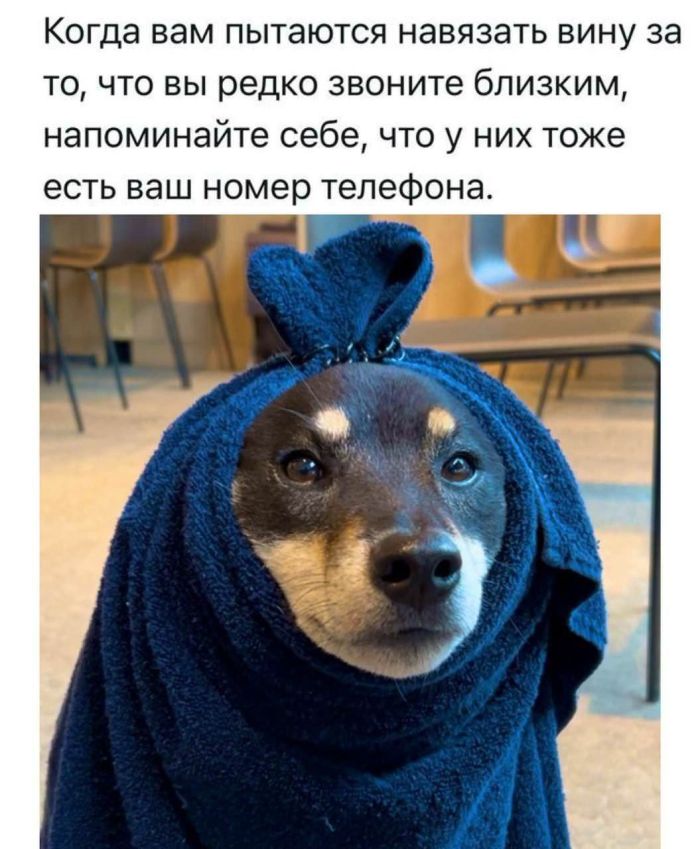 Готовьтесь смеяться до слез! 🤣 Новый сборник мемов и комментариев уже здесь! самые, комментарии, просто, собрали, настроения, которые, сетей, социальных, смешные, любой, сборник, поднятие, этого, просмотра, после, уверены, настроениеРазнообразие, Здесь, бытовых, найдется