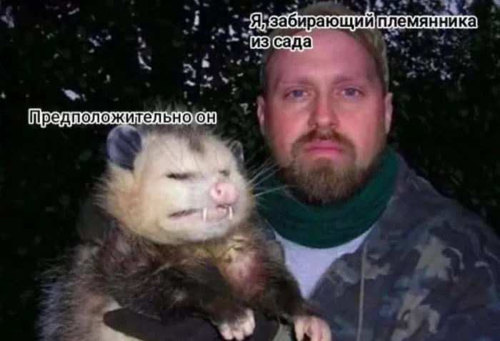 картинка 5f5e1628d6 00000000