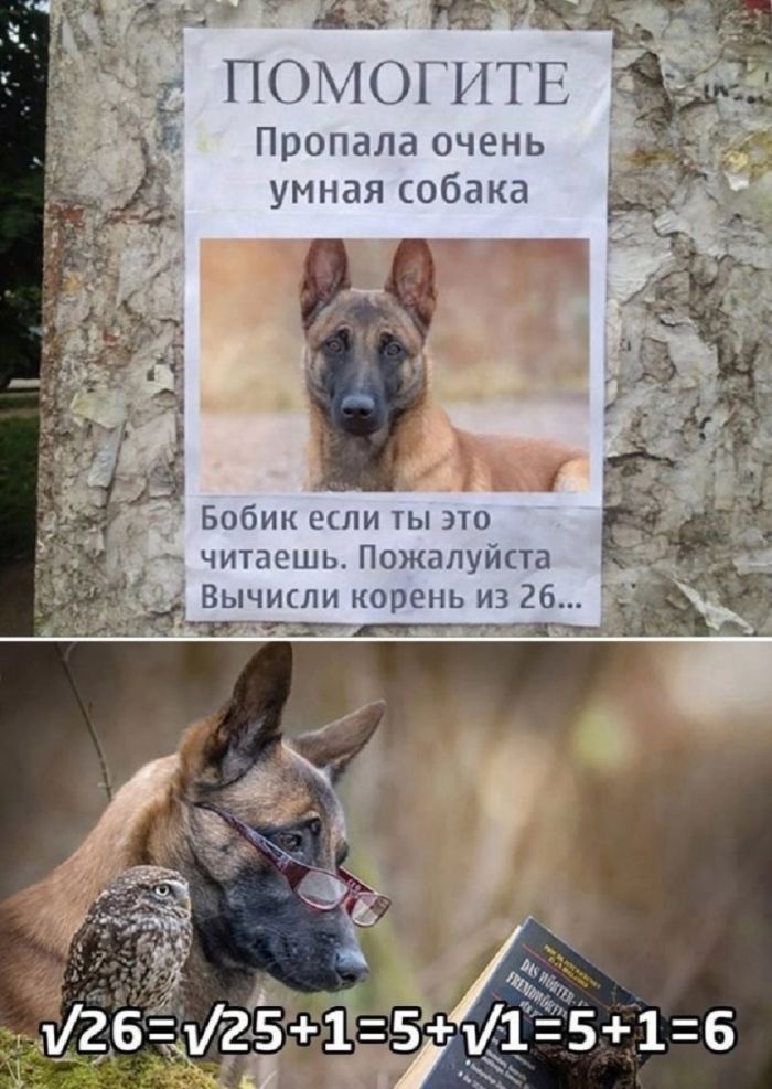 картинка 6134f30bd1 jekskljuziv otbornye prikoly v memah i kartinkah tolko dlja vas 10