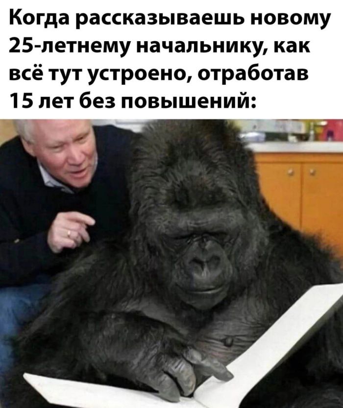 картинка 642563bcfb malenkaja pjatnica jeto ne mif a realnost i ona uzhe v jetu sredu 2