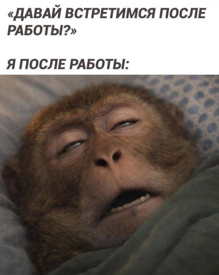 картинка 6492206b05 chernyj jumor dlja teh kto ljubit ostrye shutki i ne boitsja tabu 9