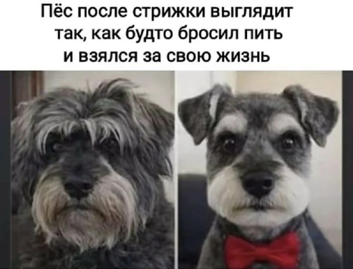 Взрыв позитива: лучшие мемы для ваших выходных