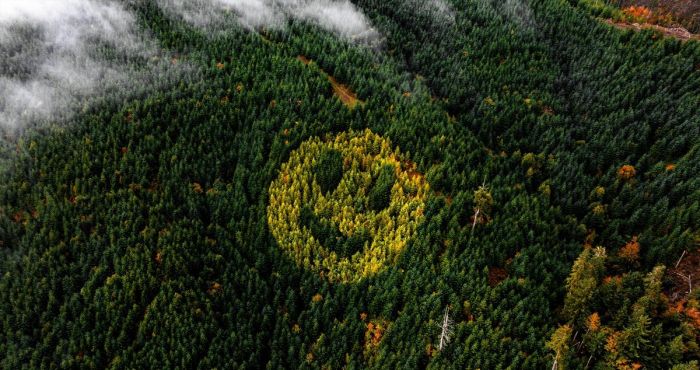 картинка 674e0ef3c4 vstrechajte vasha porcija pozitiva uzhe zdes 11