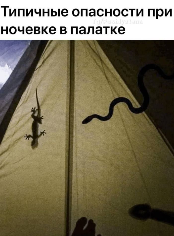 картинка 67a9ddfa81 20875386