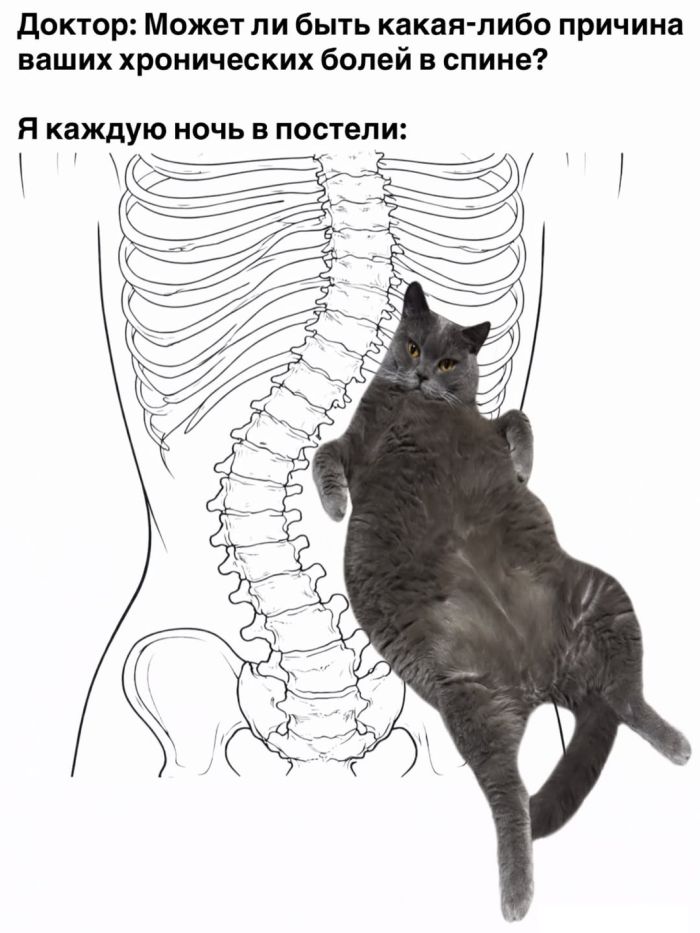 картинка 692f50b23d 00000000000000