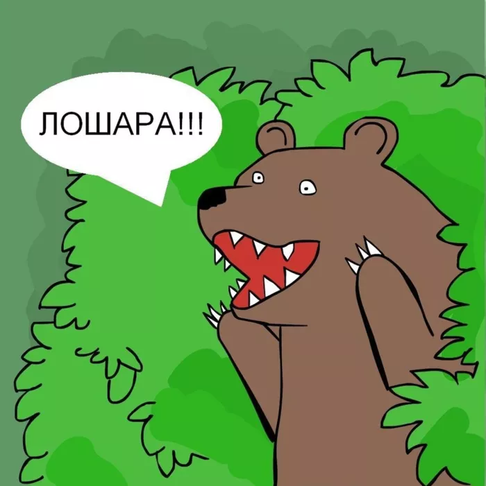 История успеха которая пошла не по плану