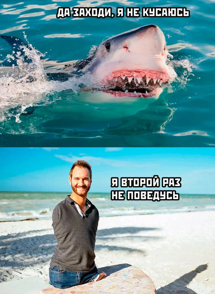 картинка 72d060b0ac 00000000000000000