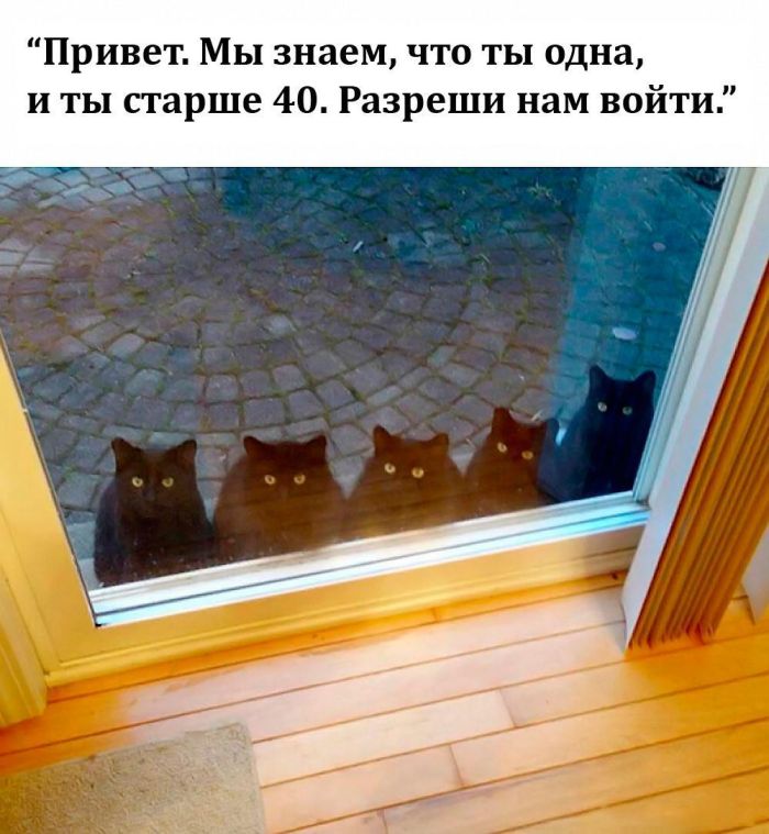 картинка 74f5056fb3 00000000000