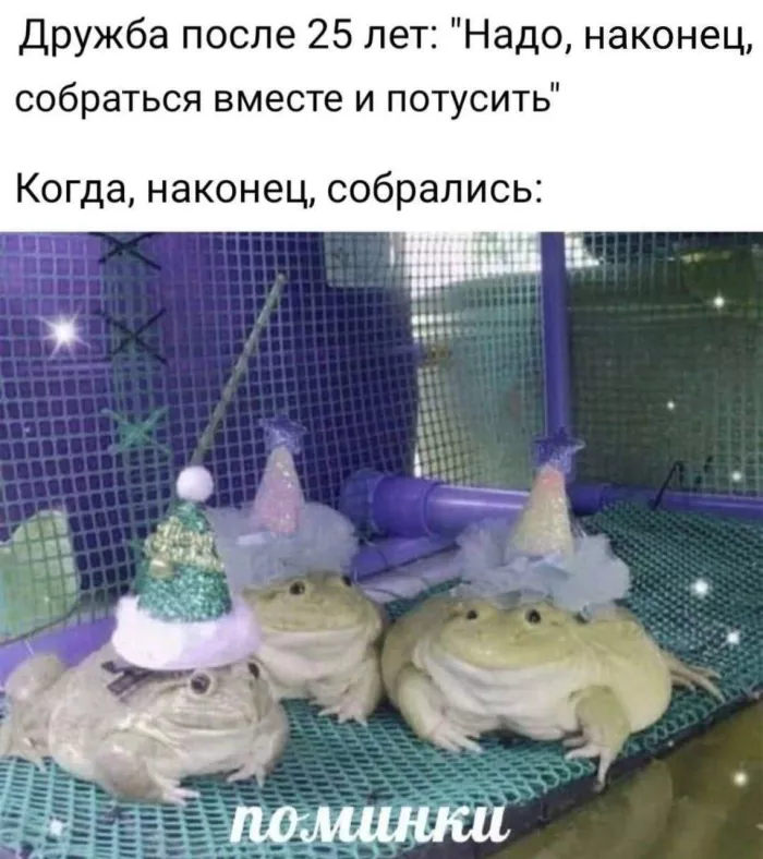 картинка 7562744374 000