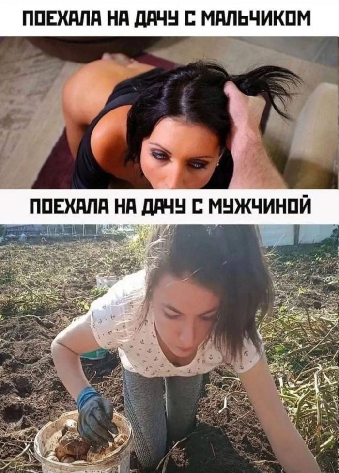 картинка 768428b8c3 chernyj jumor dlja vzroslyh sbornik kotoryj zastavit vas smejatsja do slez i vozmozhno do ikoty 24