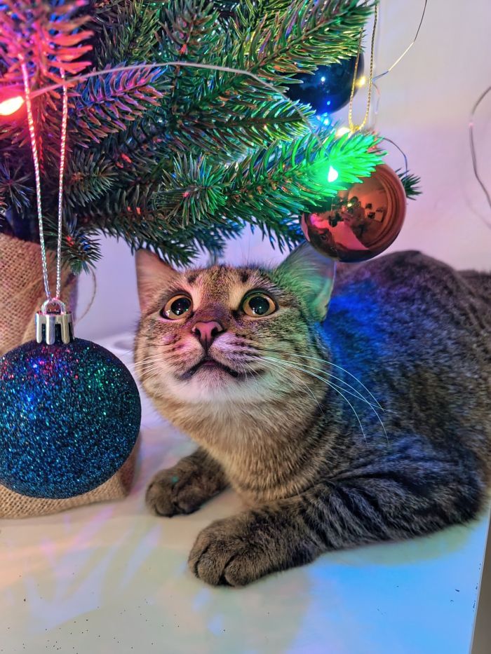 картинка 77c115b7eb lovite pozitivchik podborka svezhih shutok i memov dlja vashej malenkoj pjatnicy 7