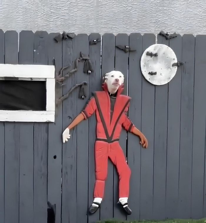 картинка 7f743eaee6 pjatnica ulybaemsja i mashem 11