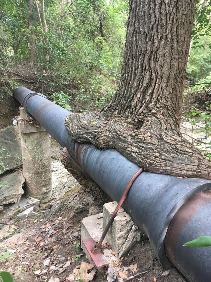 Новый сборник приколов к маленькой пятнице! 🤩 Неделя, горячие, близко, Выходные, недели, середины, приколы, шутки, самые, разгаре, Ловите, юмора, свежего, порцией, будни, разбавить, значит, держитесь