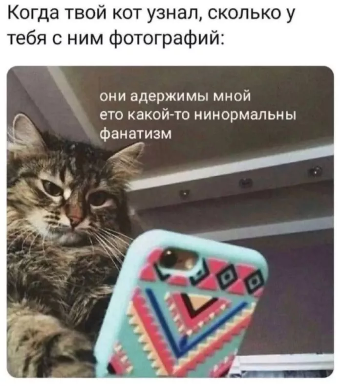 Готовьтесь к взрыву смеха! 💥 Новый сборник приколов на выходные уже здесь! собрали, самые, свежие, конечно, уморительные, чтобы, выходные, прошли, максимально, весело, пропустите, большой, сборник, позитива