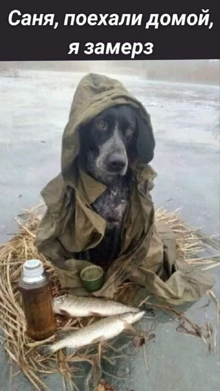 картинка 82afbf6e3f jekskljuziv otbornye prikoly v memah i kartinkah tolko dlja vas 13