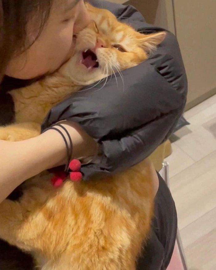 картинка 835b24955e vstrechajte vasha porcija pozitiva uzhe zdes 4