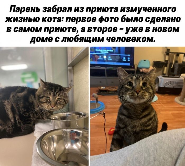 картинка 84290629e2 jekskljuziv otbornye prikoly v memah i kartinkah tolko dlja vas 2