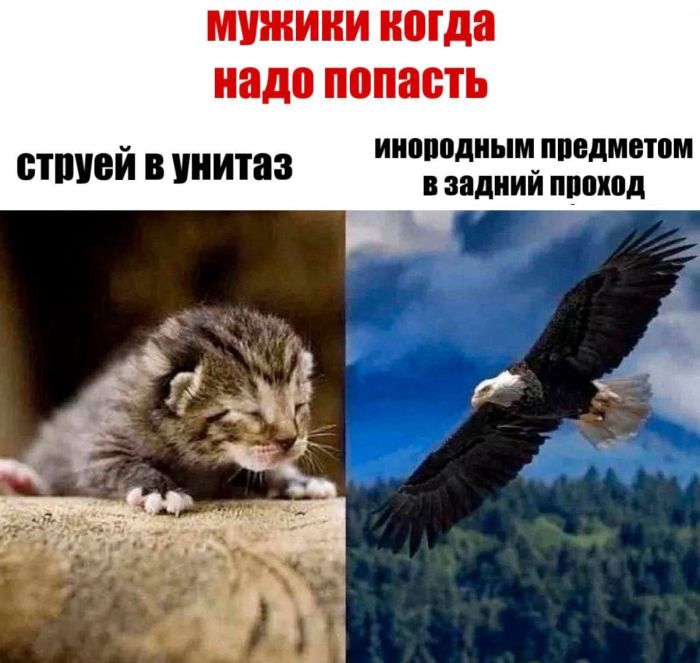 картинка 8445e01a8a 000