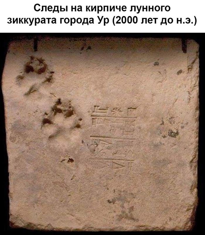 картинка 84d70a7f79 20875347