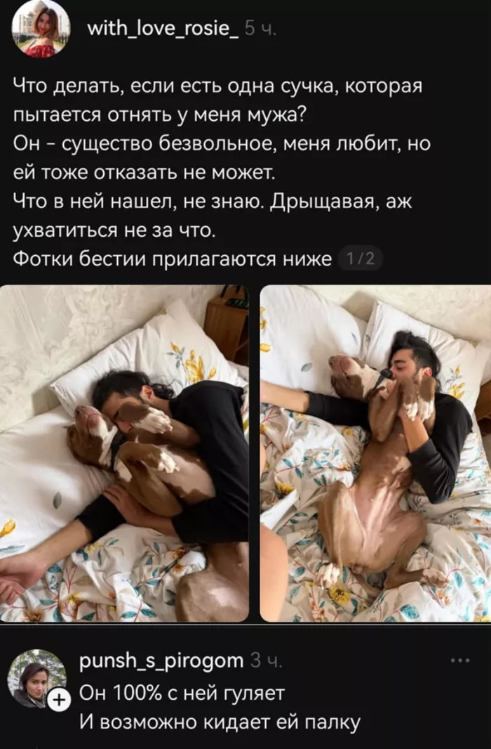 картинка 85537fe317 dlja teh kto v teme novyj sbornik vzroslogo jumora 15