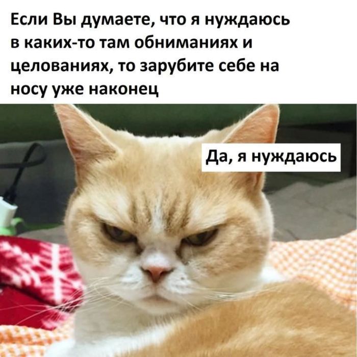 картинка 855b388a65 zabudte o grusti my sobrali dlja vas otbornuju porciju jumora prjamikom iz socsetej 13