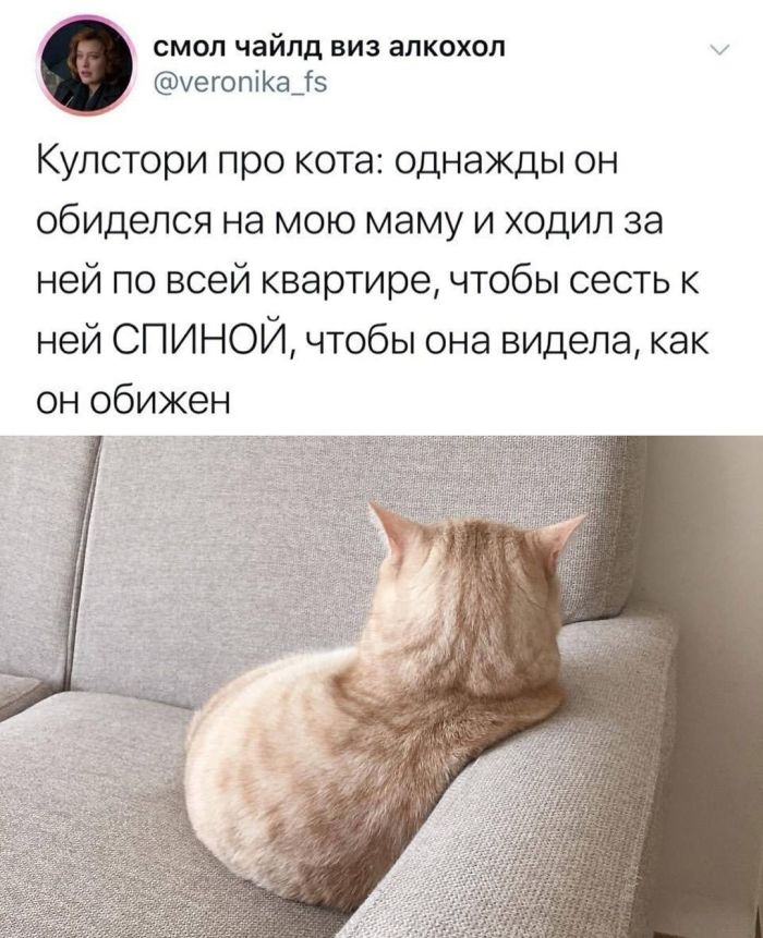 картинка 8689690946 zabudte o grusti my sobrali dlja vas otbornuju porciju jumora prjamikom iz socsetej 2