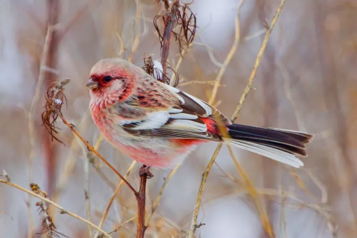 картинка 87ec5f3b3e bolshoj sbornik svezhajshih prikolov na malenkuju pjatnicu 3