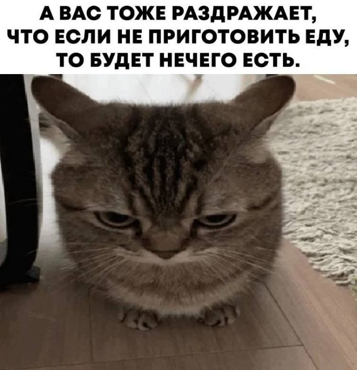 картинка 89a1760d13 00000