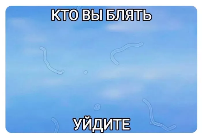 картинка 8a3249e5f3 00000