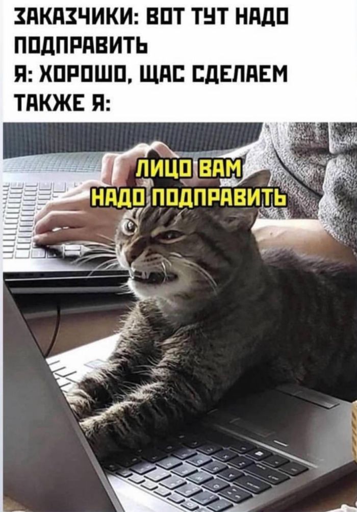 Новый сборник приколов к маленькой пятнице! 🤩 Неделя, горячие, близко, Выходные, недели, середины, приколы, шутки, самые, разгаре, Ловите, юмора, свежего, порцией, будни, разбавить, значит, держитесь